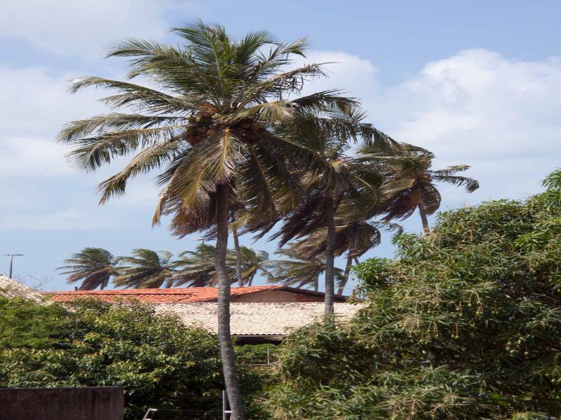 Brisol Hotel João Pessoa المظهر الخارجي الصورة